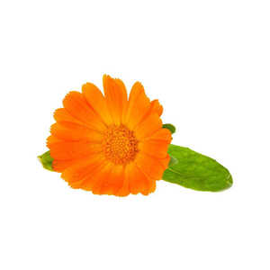 Bubuk ekstrak bunga <span class=keywords><strong>Marigold</strong></span> kesehatan mata <span class=keywords><strong>Lutein</strong></span> 5%-20% suplemen makanan - Product Image 4