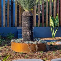 Bordure de jardin extérieure en acier Corten résistant aux intempéries, bordure de lit de fleurs en métal robuste pour la décoration paysagère