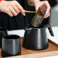 Service à thé en céramique Ice Jade, 2 tasses, écologique, moderne, de luxe, céramique haute résistance, finition mate, bec verseur bionique