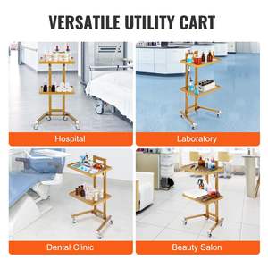 Chariot de laboratoire en acier inoxydable à 2 niveaux DB Wholesale avec 2 plateaux et 4 roues silencieuses Golden-Fournitures de laboratoire - Product Image 6