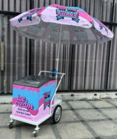 Chariot de vente ambulante pour desserts, glaces italiennes, avec refroidissement direct, 2 portes et 2 étagères, congélateur de présentation pour bâtonnets glacés