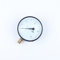 Commercial Pressure Gauge Brass Threaded Fitting Stainless Steel Case Pressure Gauge for Water Gas Oil Pipeline