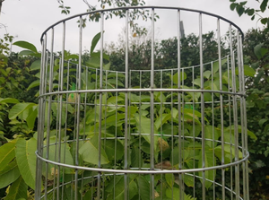 Varie dimensioni facile ferro PVC albero protezione per camion di recinzione di protezione per corteccia di albero in rete di acciaio recinzione rotaia fascette in metallo paletti - Product Image 2