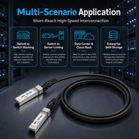 Kabel DAC SFP+ 10G 1m 3m 5m 7m Kabel Tembaga Pasif Twinax untuk Solusi Interkoneksi Jaringan Pusat Data