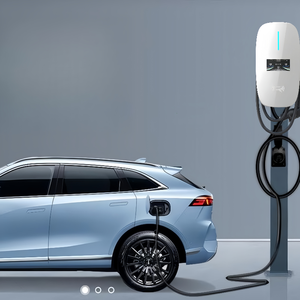 Borne de recharge murale pour véhicules électriques de niveau 2, 7 kW, avec courant nominal de 32 A, état neuf, tension d'entrée 220-240 V - Product Image 5