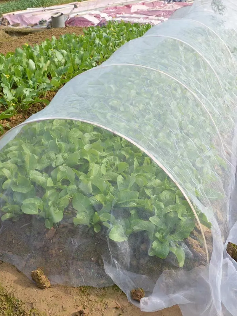 Insectennet De Beste Prijs Voor Promotie Is Agrarische Greenhousebladluis Proof Netto