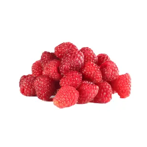 Vente en gros de raspberry baies glacées IQF, prix de gros en chine