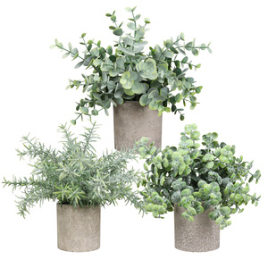 Plantes Bonsaï Artificielles Réalistes Peva Faux Oiseau de Paradis Arbre <span class=keywords><strong>Plante</strong></span> d'intérieur en Pot Palmier Tropical <span class=keywords><strong>Plante</strong></span> <span class=keywords><strong>Canna</strong></span> Artificielle - Product Image 1