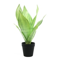 Sansevieria artificielle de 35 cm de haut, bonsaï en gros, petit bonsaï de Sansevieria