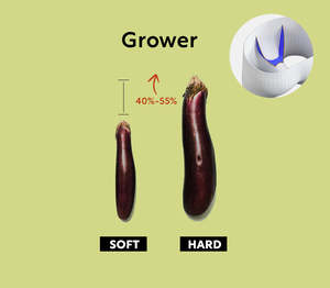 Boxers respirants en spandex pour hommes avec grande poche de maintien intégrée - Product Image 6