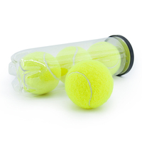 Balle de cricket, de tennis et de paddle de haute qualité pressurisée pour l'entraînement