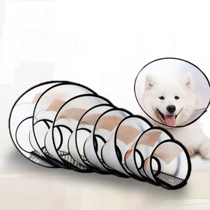 Elizabethan Pet Accessories For Cats Dog And Cat Accessories 2021 Pet Supplies Collar Cat Accessories