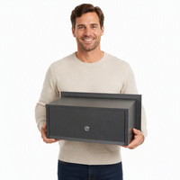 Boîte de livraison murale antivol en acier pour extérieur, petite, avec capacité de 10 L, boîte aux lettres et boîte à colis