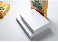 Papier photo jet d'encre 260 g/m² à lustre grossier, couché résine RC haute définition pour impression professionnelle en laboratoire photo