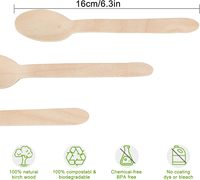Cuillères jetables écologiques en bois de bouleau, biodégradables et compostables, pour la restauration, lot de 100 pièces, blanches, 165 mm, échantillon gratuit