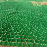 Grille de pavage en plastique pour stabiliser l'herbe sur l'allée pour gravier