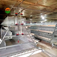 Cage automatique pour poules 96 / 160 oiseaux, système de batterie, conception de ferme avicole