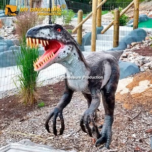 Mon Dino AD040 Velociraptor <span class=keywords><strong>Raptor</strong></span> animatronique sur le thème du parc jurassique à vendre - Product Image 3