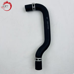 25411-07000 2541107000 Manguera Superior del Radiador para Hyundai Kia 25411 07000 - Product Image 2