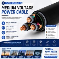 Cable de Alimentación Blindado YJV22 de 3 Núcleos, 8.7/15kV, Precio de Fábrica, 99.9% Cobre Puro, Aislamiento XLPE, para Proyectos Subterráneos