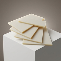 Plaque en nylon PA6 résistante à la chaleur, usinable pour l'usinage industriel, utilisation lisse, taille et couleur personnalisées selon les exigences du client