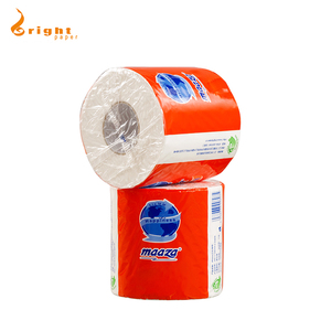 Papier de toilette Ultra transparent, doux, tactile, personnalisé, 10 rouleaux, famille Mega - Product Image 2