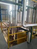 Machine d'extraction d'huile automatique en acier inoxydable haute performance, nouvelle, pour l'extraction d'huile de sésame, de noix de coco, d'olive, de palme, de soja et de noix.