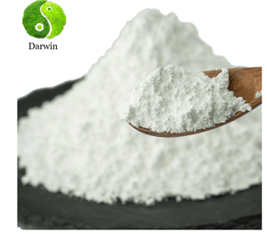 Rebaudiana de Stevia <span class=keywords><strong>Bertoni</strong></span> - Product Image 2