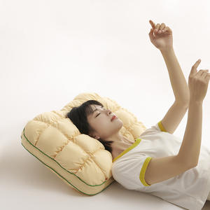 Dış Ticaret Sınır Ötesi Ananas Ekmek Yastık İçliği Yüksek Esneklikli Sıkıştırılmış Tüy Kadife Minimalist Tasarım Yastık - Product Image 2