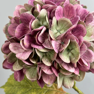 Hortensia en latex effet naturel, style peinture à l'huile classique, grande tête de fleur artisanale pour centre de table de mariage de luxe 2026 - Product Image 4