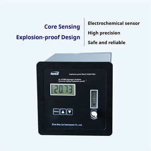 Runlai Professional YH200 Analyzer Digital LCD Display Customizable Gas Detector - Product Image 2