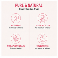 Huile Essentielle Végane Pure à 100% de Rose Sauvage, Marque Privée OEM, pour Cheveux, Ongles, Peau, Visage, Corps et Massage