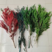 Rangkaian Bunga Kering Emas Berlapis Abadi, Eucalyptus Diawetkan, Aksen Dekoratif, Bahan Aromaterapi, Untuk Penggunaan Dalam Ruangan