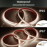 Bande lumineuse LED 220V 110V 8mm 10mm PCB flexible en silicone étanche IP67 haute tension pour projets hôteliers, centres commerciaux et extérieurs