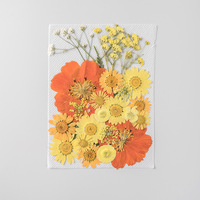 D072 Pack de matériaux DIY, fleurs séchées pressées naturelles et réelles