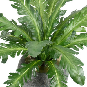 Grande fougère artificielle <span class=keywords><strong>en</strong></span> forme de nid d'oiseau, 18 têtes, 50 cm, plante <span class=keywords><strong>en</strong></span> pot, résistante aux UV, fausse verdure pour décoration murale de bureau, extérieur, jardin - Product Image 2