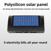 Lampe solaire murale de jardin à 2 LED IP65, éclairage automatique toute la nuit avec batterie au lithium, résistante à l'eau, double température de couleur