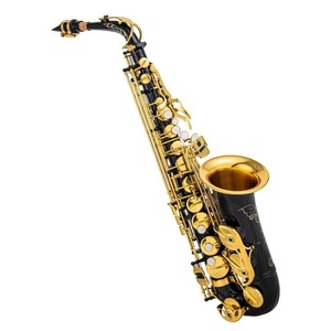 Saxofón Alto de Latón Modelo 82Z en Mi Bemol con Acabado en Níquel Negro y Dorado y Superficie Niquelada, Suministro Transfronterizo - Product Image 5