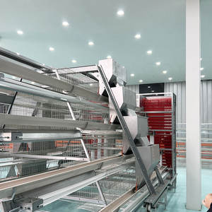 Système d'Élevage Avicole Automatique pour 10 000 Poules Ponduses, Cage à Poulets Étagée à 4 Niveaux pour la Production d'Œufs, à Vendre - Product Image 3