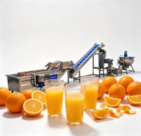 Automatische compacte fruit-sap pilot productielijn van roestvrij staal voor kleine drankenfabrieken met flesvulling
