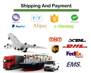 Poêle à <span class=keywords><strong>bois</strong></span> autonome d'intérieur, durable, pour chauffage décoratif de salon, chambre, hôtel, garantie 1 an - Product Image 5