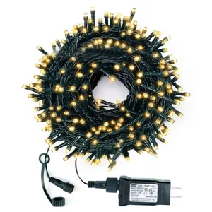 24V EU US UK AU插头10米20米30米50米100米室外室内低压LED灯串绿色pvc线圣诞仙女灯