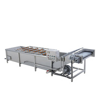 Commerciële volautomatische fruit- en groentereinigingsmachine Roestvrijstalen bubbelozonwasmachine Motor met hoge efficiëntie