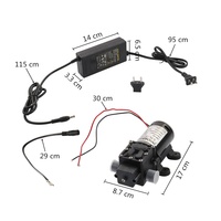 Pompe à eau électrique haute pression, système de pulvérisation pour jardin, Irrigation et lavage de voiture, haute pression, livraison gratuite, DC12V, 100W