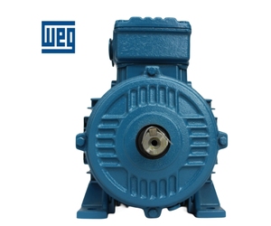 Motor AC de Alta Calidad y Alto Torque, Motor Weg de 30kw, 45kw, 55kw, 75kw, 90kw, 110kw, Sin Necesidad de Esperar - Product Image 3