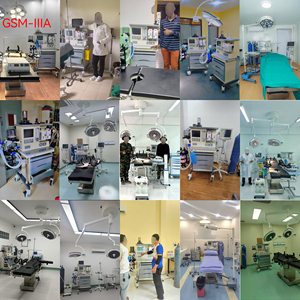 Medische Anasthesie <span class=keywords><strong>Machine</strong></span> Voor Veterinaire Chirurgie Operatie Draagbare Maquina De Anestesia Ziekenhuis Anestesia <span class=keywords><strong>Machine</strong></span> - Product Image 6