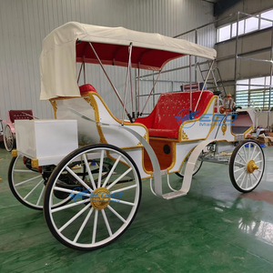 รถม้าไฟฟ้าสำหรับนักท่องเที่ยว ชมวิว งานแต่งงาน บริการขนส่งพิเศษ - Product Image 5