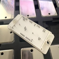 Module d'alimentation intégré SNXH100M65L3Q2F2PG Q2PACK : Combinaison de puces IGBT haute performance avec diodes anti-parallèles robustes