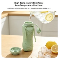 Tumbler Silikon Food Grade Dapat Dilipat Botol Air Lipat Portabel Cangkir Minuman Olahraga Gaya Kuno