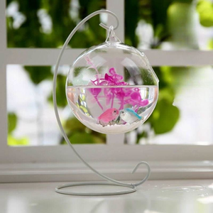 Op maat gemaakte, populaire hangende glazen aquariumviskom, bloempot, bolvormige glazen betta-visbak, aquariums - Product Image 5